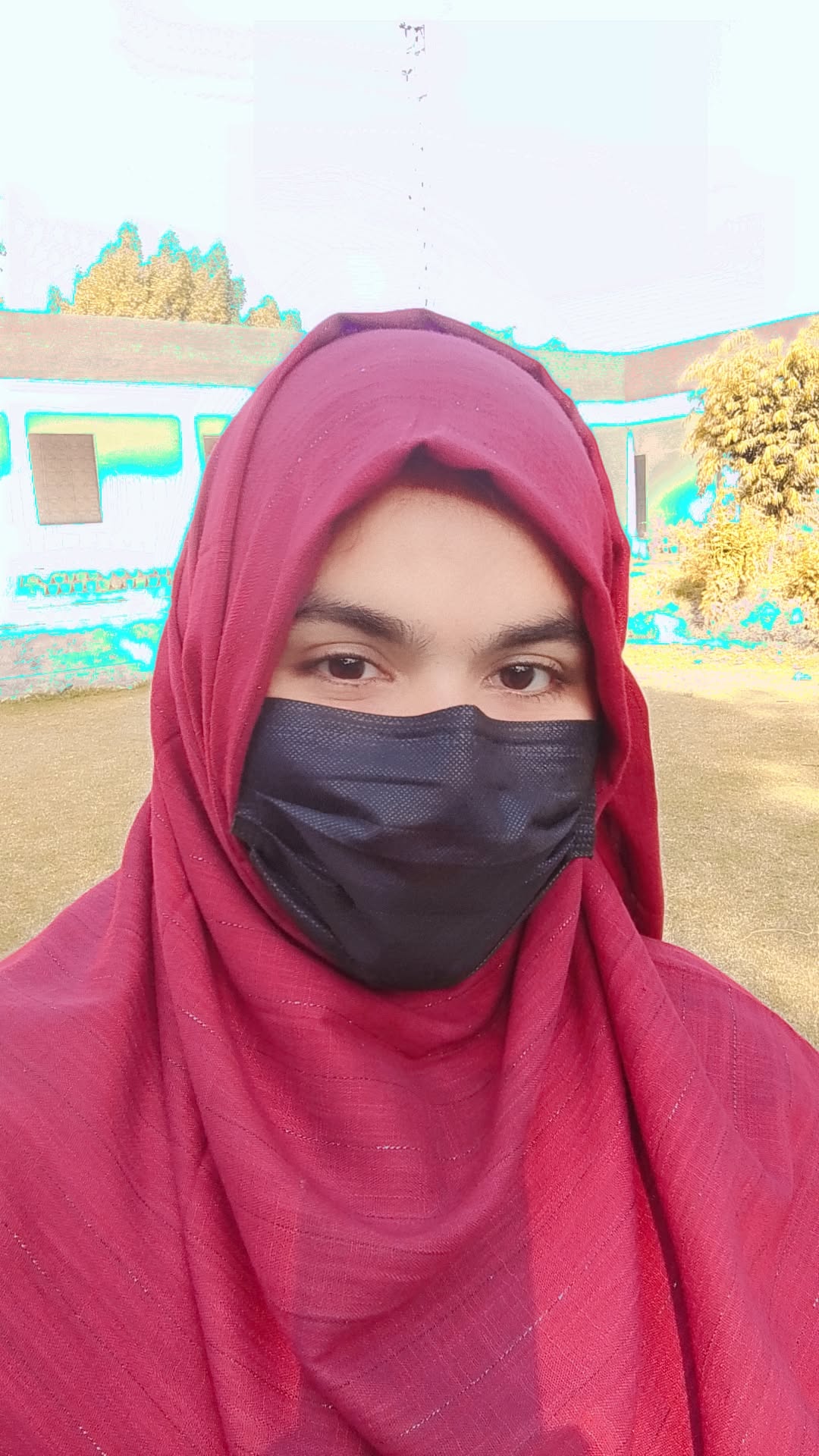 Mashaim kashif